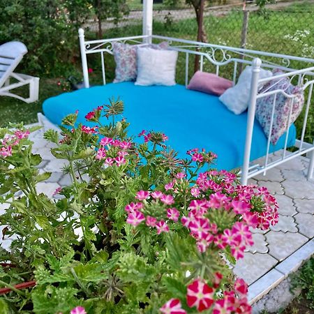 White House With Sauna And Jacuzzi 노비사드 외부 사진