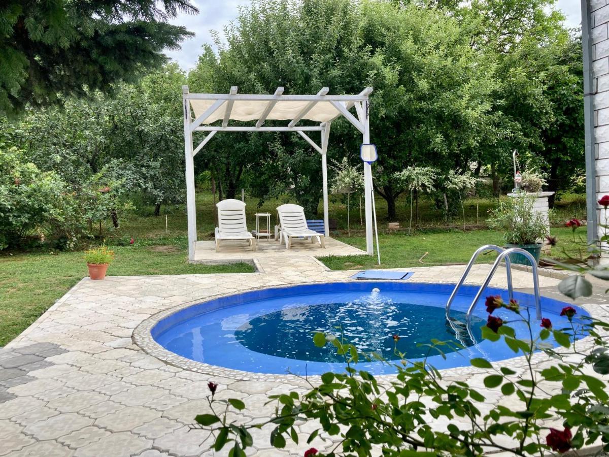 White House With Sauna And Jacuzzi 노비사드 외부 사진
