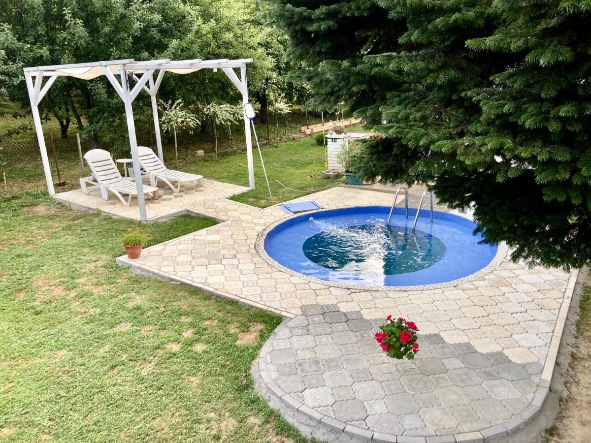 White House With Sauna And Jacuzzi 노비사드 외부 사진