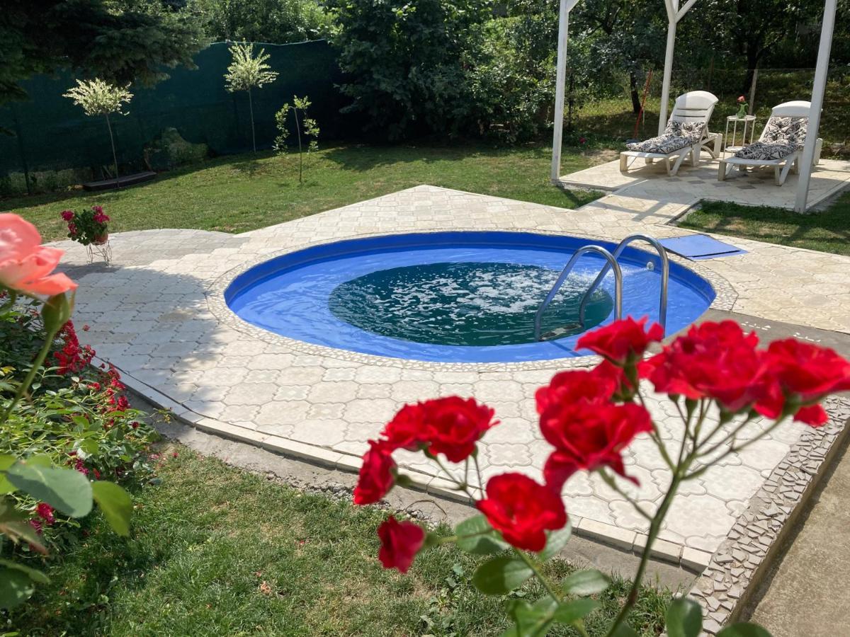 White House With Sauna And Jacuzzi 노비사드 외부 사진