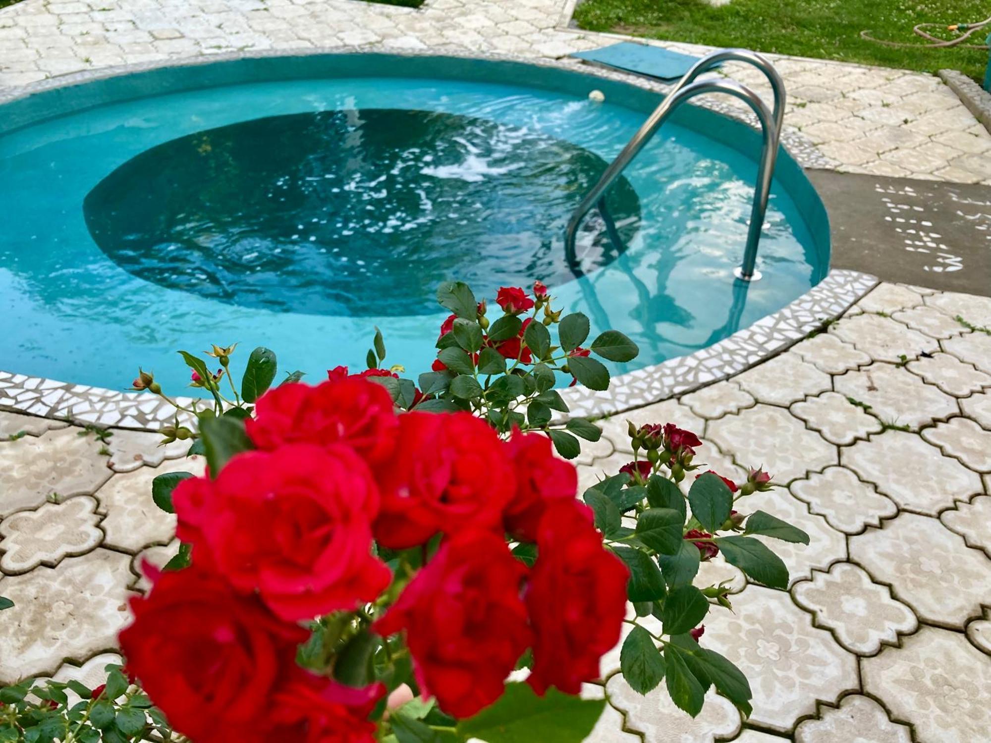 White House With Sauna And Jacuzzi 노비사드 외부 사진