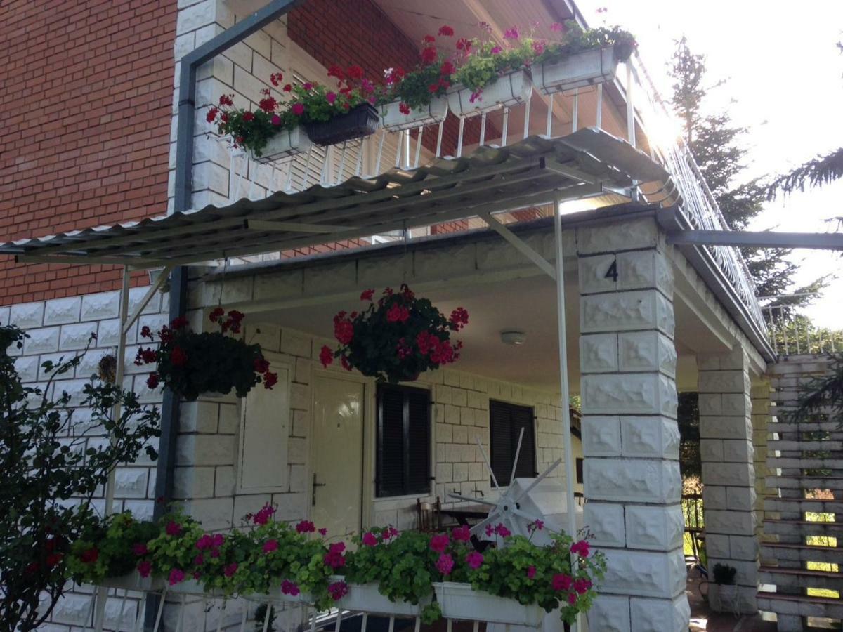 White House With Sauna And Jacuzzi 노비사드 외부 사진