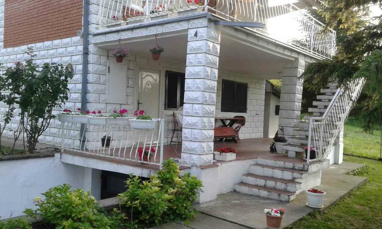 White House With Sauna And Jacuzzi 노비사드 외부 사진